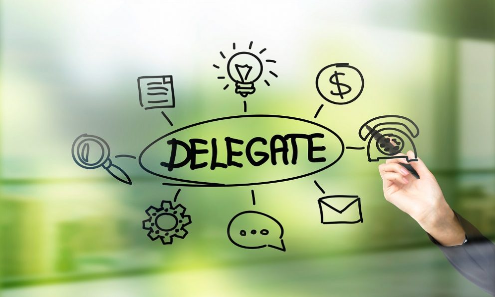Delegate Effectively and Remove The Monkey - People Development Magazine