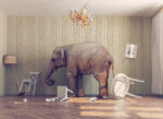 Failed Leadership Is The Elephant In The Room - People Development Magazine