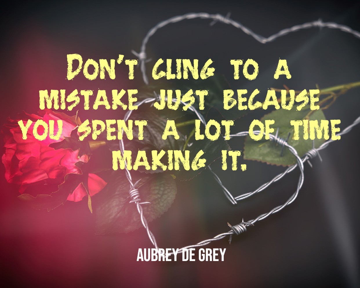 Cling To A Mistake - People Development Magazine