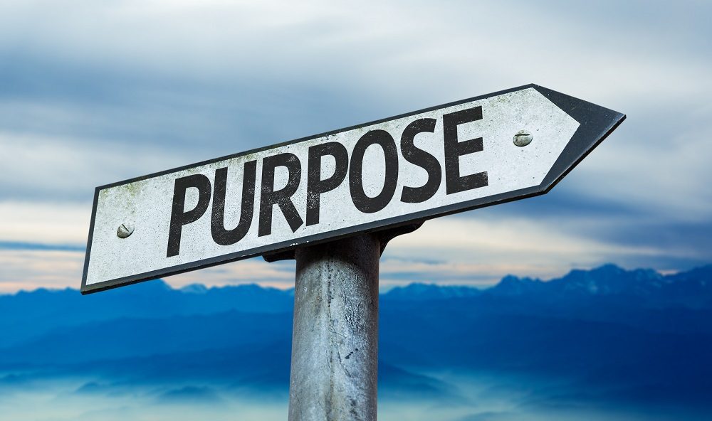 How To Establish The Real Purpose Of Training