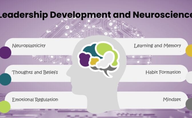 Leadership Development And Neuroscience - People Development Magazine