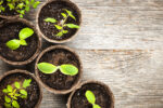 Continuous Growth - People Development Magazine