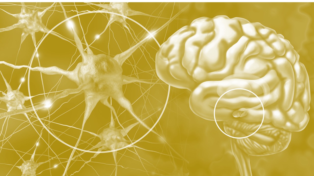 Use Your Higher Self to Manifest the Life You Want - Messages From Your Higher Self - People Development Magazine Use Your Higher Self to Manifest the Life You Want - Messages From Your Higher Self - People Development Magazine